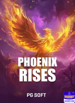 Jogos Certificados 8585bet.com